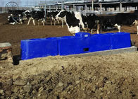 Máng nước tự động LLDPE cho gia súc / lợn 6M chống sương giá 40L - 80L